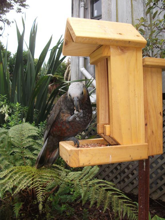 هاف مون باي Kaka Retreat Motel, Stewart Island المظهر الخارجي الصورة